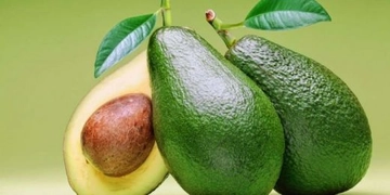 Avokado Diyeti Tarifi ve Malzemeleri